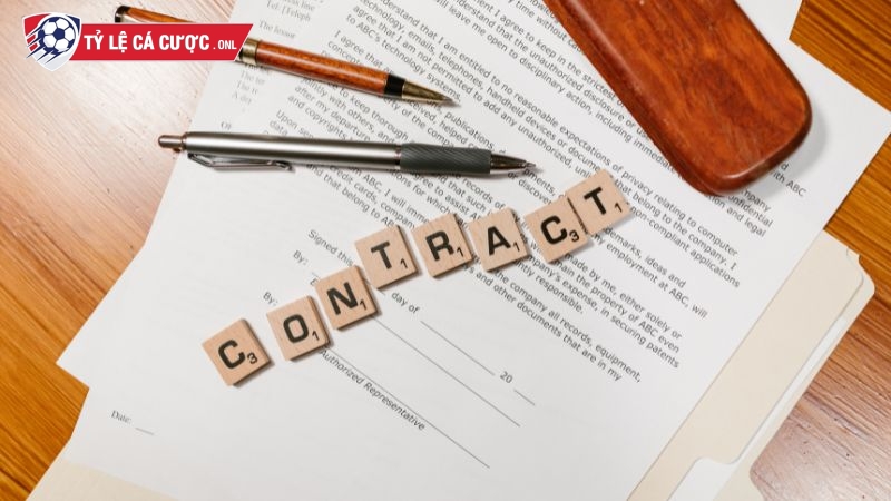 Tylecacuoc.onl cam kết thông tin cung cấp chính xác, uy tín