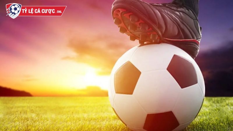 Đọc tỷ lệ kèo cược bóng đá châu Âu chuẩn để tính tiền thưởng