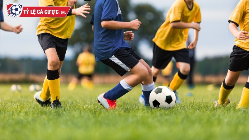 Bet thủ mới gia nhập rất dễ bị lừa bởi những kèo dụ