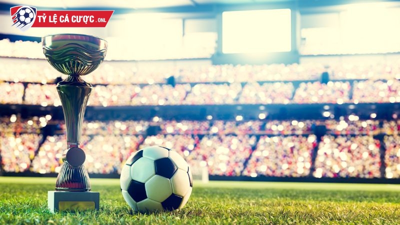 Người chơi đặc biệt quan tâm tới World Cup và tỷ lệ cá cược giải đấu