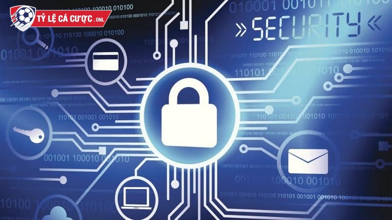 Tylecacuoc cam kết không chia sẻ dữ liệu người dùng cho bên thứ 3