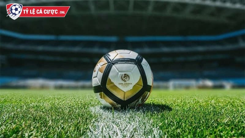 Tylecacuoc cung cấp dữ liệu đầy đủ, hỗ trợ người chơi phân tích kèo chuẩn